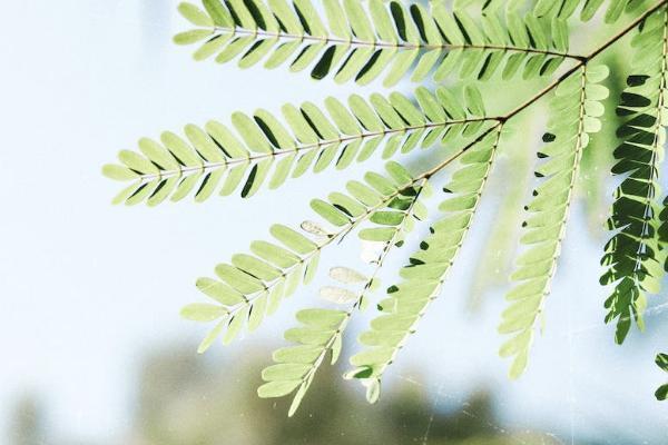 少儿综合意外险可靠吗？和学平险哪个好