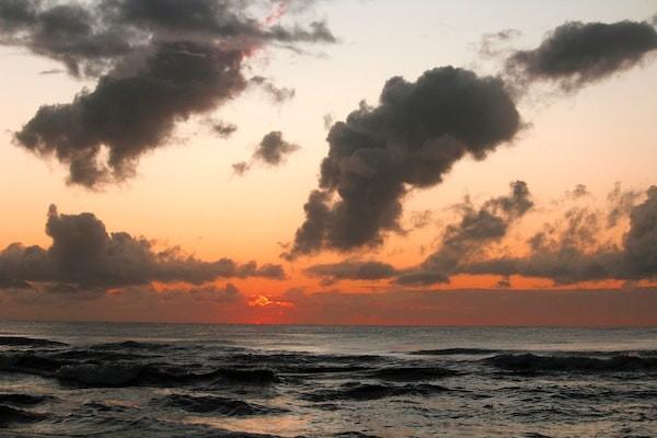 东吴人寿保险重疾险怎么样？如何购买呢