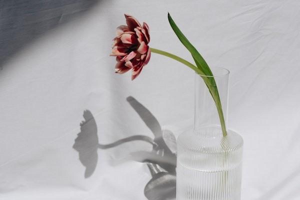 安联悦享综合意外险一年多少钱，怎么样