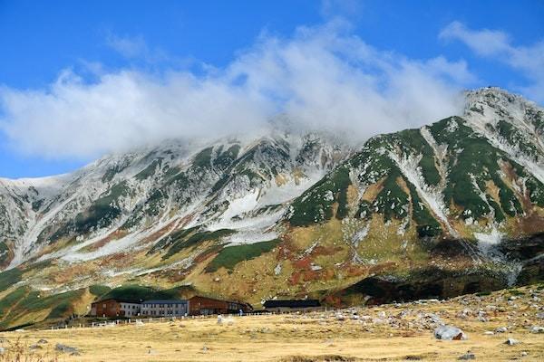 平安寿险退保去哪里退