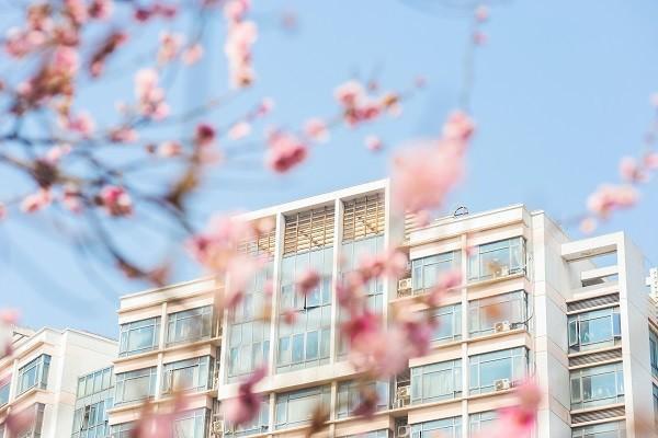 意外险学校买还是自己买好