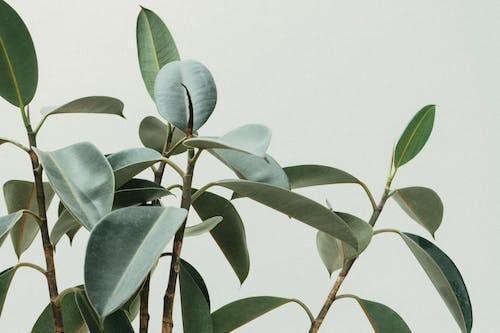重疾险投保需要注意什么，今年重疾险保费涨了多少