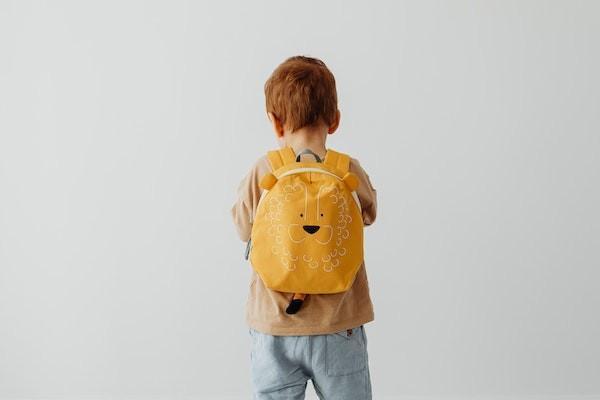 意外险包含狗咬吗