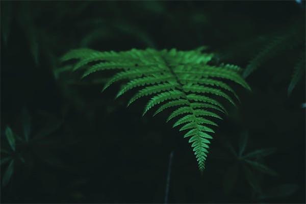 商业险出险几次保费上浮，可以出险几次