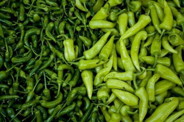 e生保保险一年多少钱，范围都保什么