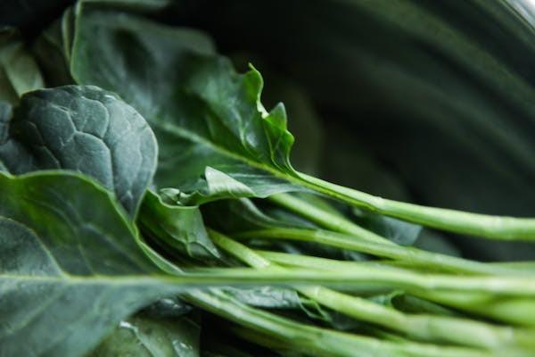 人寿保险大病保险理赔多久到账，范围包括哪些