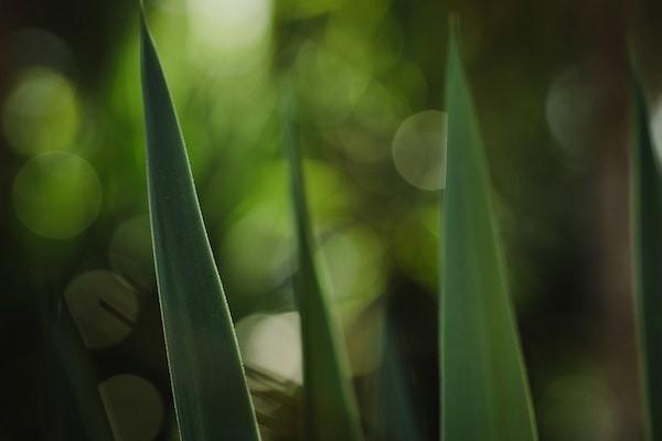 提前给付重疾险有用吗？赔付要准备什么？