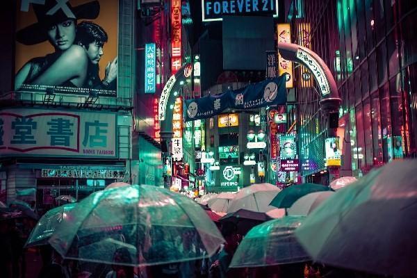 居民养老保险从多少岁开始交