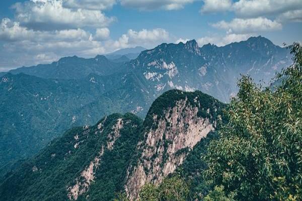 泰康乐享健康双惠成人重大疾病保险怎么买，保什么