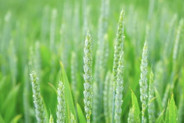 职工互助保险报销范围有哪些，是什么意思