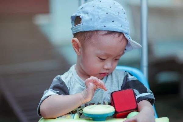 寿险和养老险要怎么投保，区别是什么