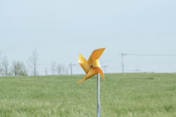 医疗事故保险一年多少钱，保什么
