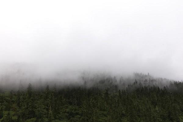 工伤意外险怎么买划算，住院药费怎么报销