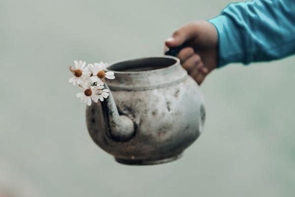 意外险赔付流程是什么，三种情况不能赔付怎么办