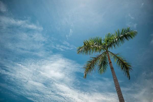 太平洋金佑人生退保的影响有哪些，2017b款想退保能退多少