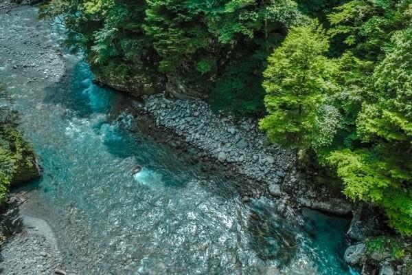财信人寿退保多久能到账，流程是怎样的