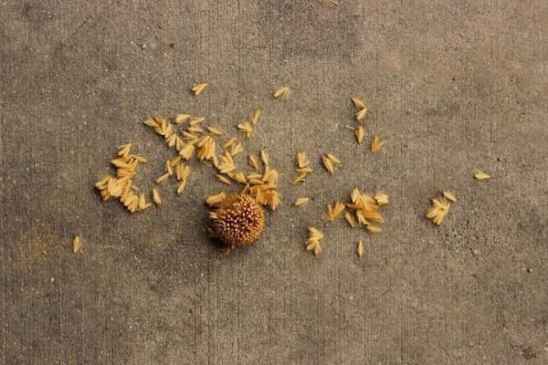 人寿保险的产品能买吗，号码多少