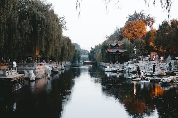 太平洋退保多久能到账，可以退保吗