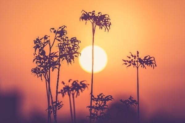 平安e生保百万医疗险多少钱，靠谱吗