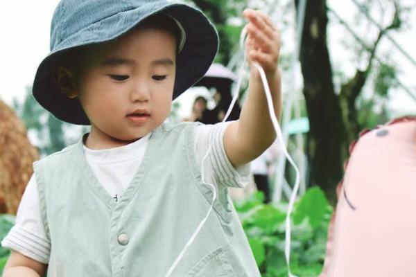 华夏保险中途退保进度怎么查询，怎么退
