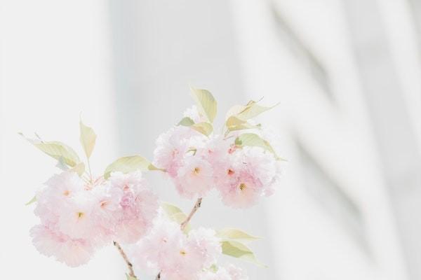 人身意外险如何报销，保费是年缴还是月缴