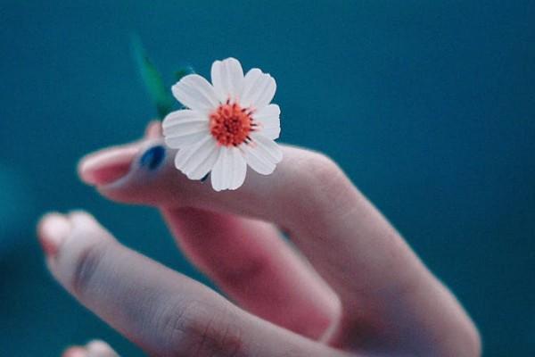 健宁重疾险多少钱，保什么