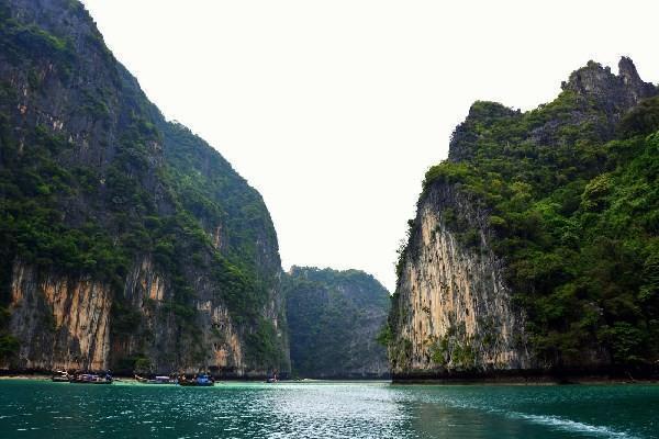 太平洋步步登高重大疾病