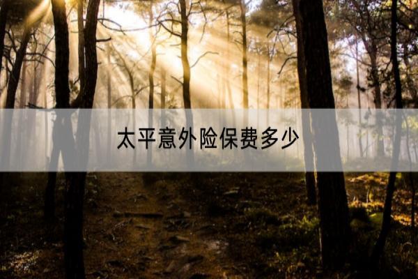 太平意外险保费多少