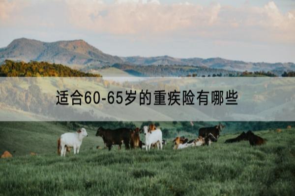 适合60-65岁的重疾险