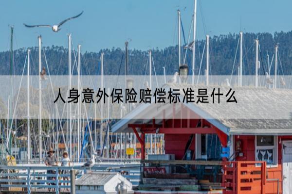 人身意外保险赔偿标准