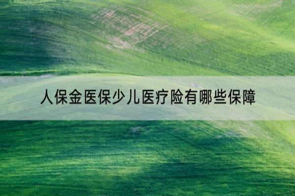 人保金医保少儿医疗险