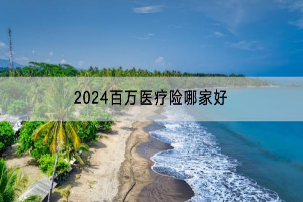 2024百万医疗险哪家好