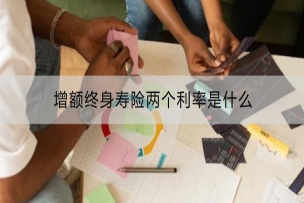 增额终身寿险两个利率是什么