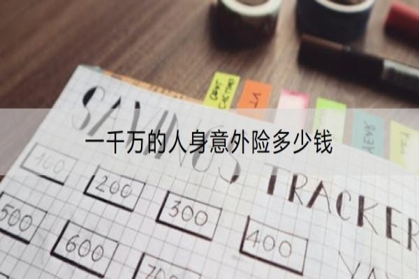 一千万的人身意外险多少钱