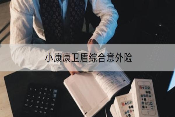 小康康卫盾综合意外险