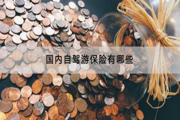 国内自驾游保险有哪些