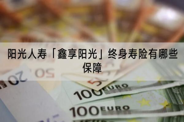 阳光人寿「鑫享阳光」终身寿险
