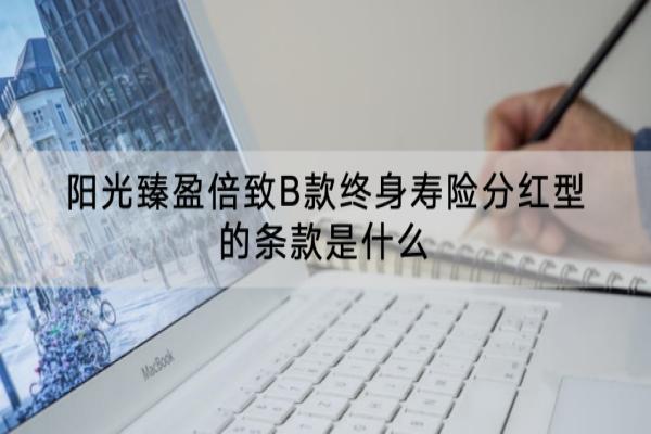 阳光臻盈倍致B款终身寿险分红型