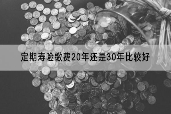 定期寿险缴费20年还是30年