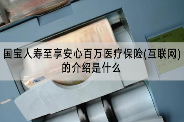 国宝人寿至享安心百万医疗保险(互联网)的介绍是什么？一年多少钱？