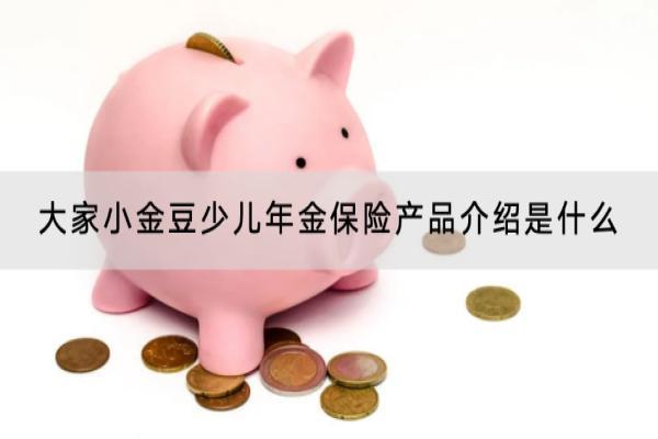 大家小金豆少儿年金保险产品介绍
