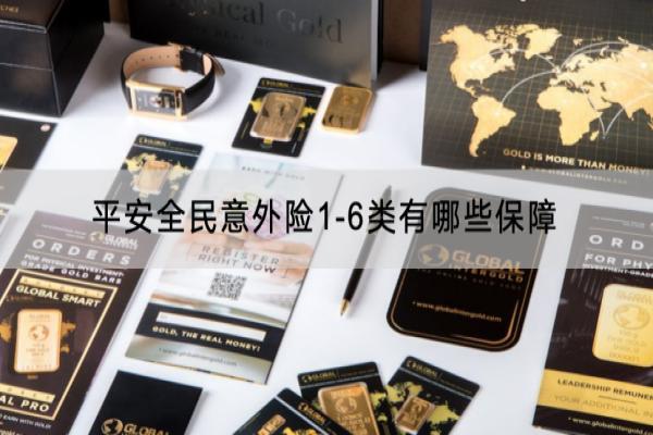 平安全民意外险1-6类