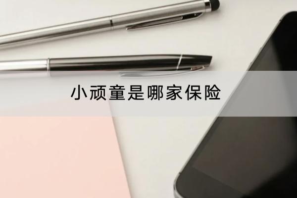 小顽童是哪家保险