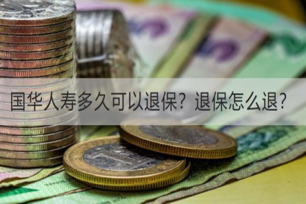 国华人寿多久可以退保