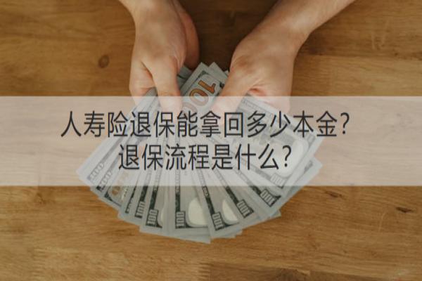 人寿险退保能拿回多少本金