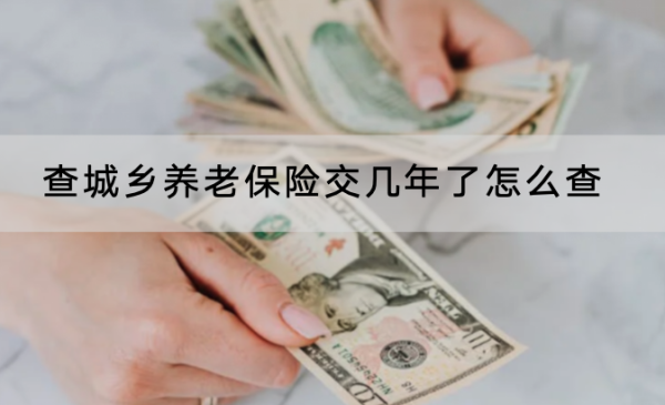 查城乡养老保险交几年了怎么查